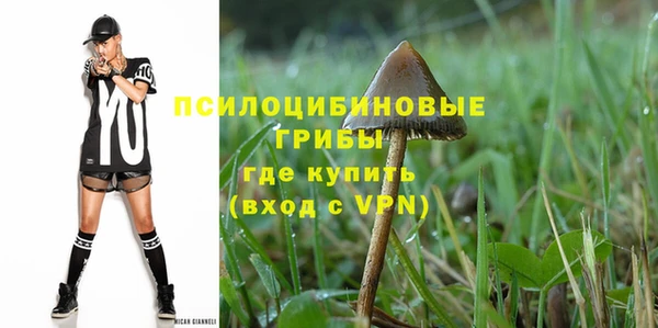 прущий лед Богородицк