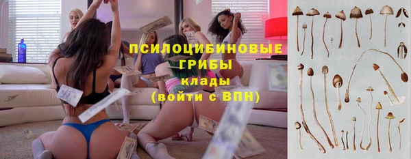 прущие крисы Бронницы
